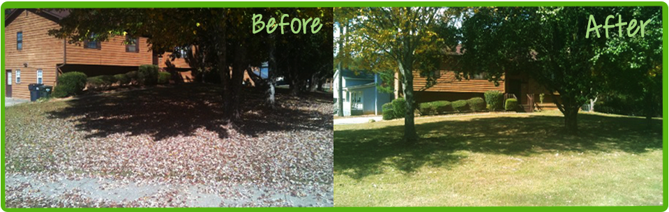 landscaping before and after